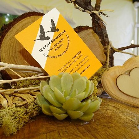 Agriturismo Le Oche Selvatiche Lauzacco Εξωτερικό φωτογραφία