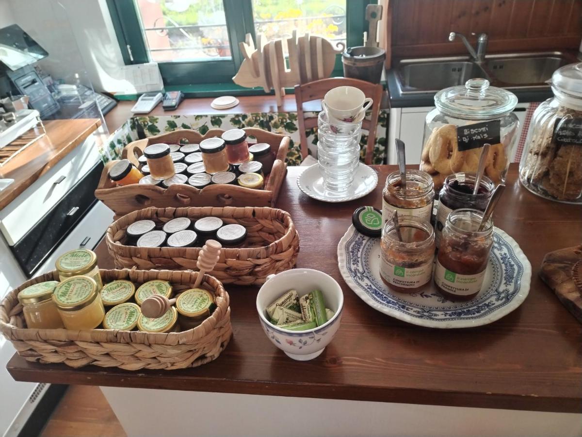 Agriturismo Le Oche Selvatiche Lauzacco Εξωτερικό φωτογραφία
