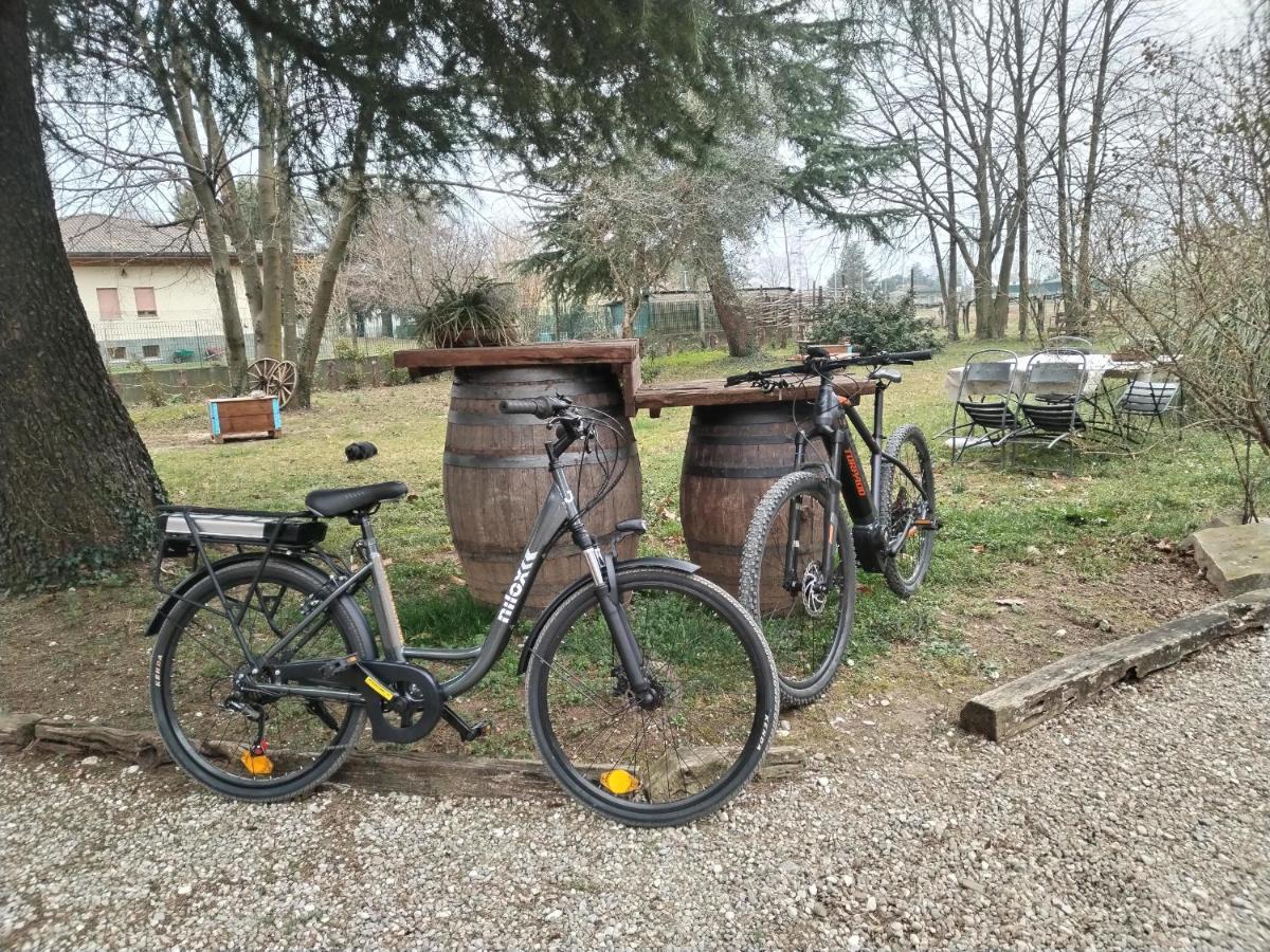 Agriturismo Le Oche Selvatiche Lauzacco Εξωτερικό φωτογραφία