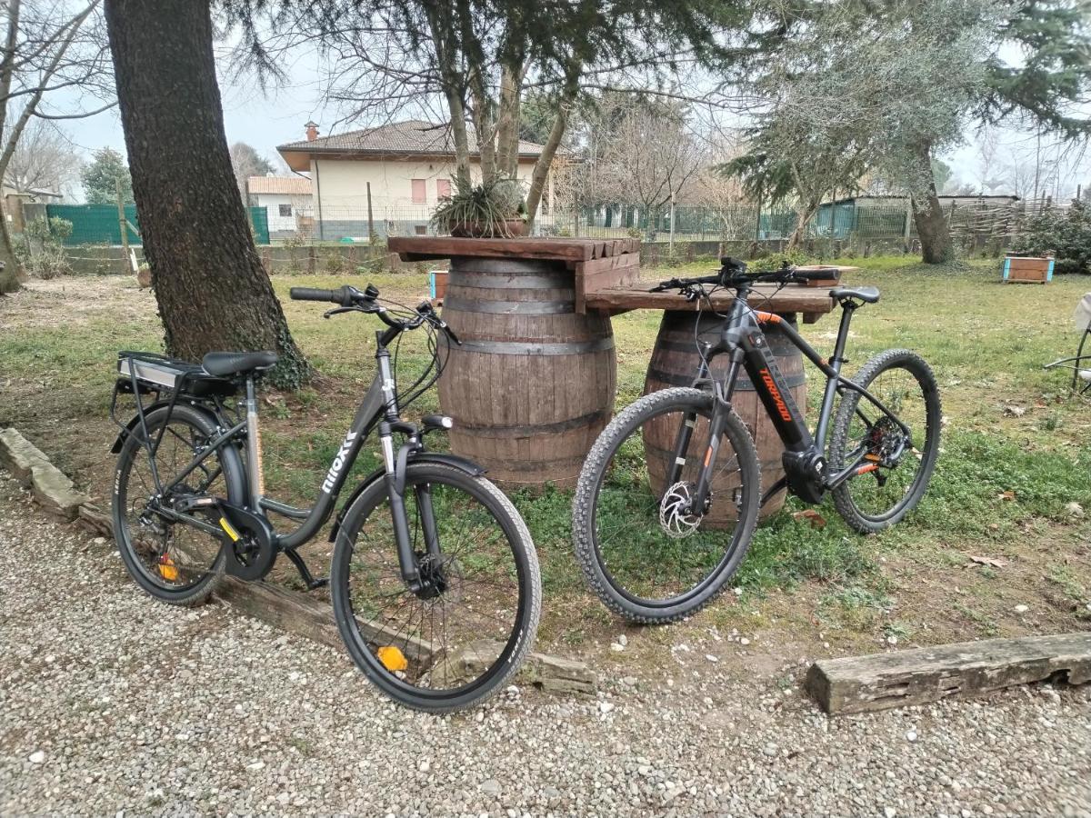 Agriturismo Le Oche Selvatiche Lauzacco Εξωτερικό φωτογραφία