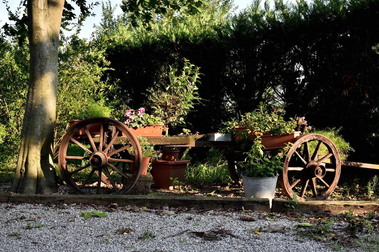 Agriturismo Le Oche Selvatiche Lauzacco Εξωτερικό φωτογραφία