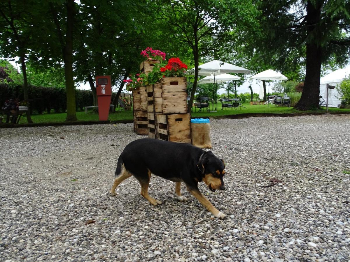 Agriturismo Le Oche Selvatiche Lauzacco Εξωτερικό φωτογραφία